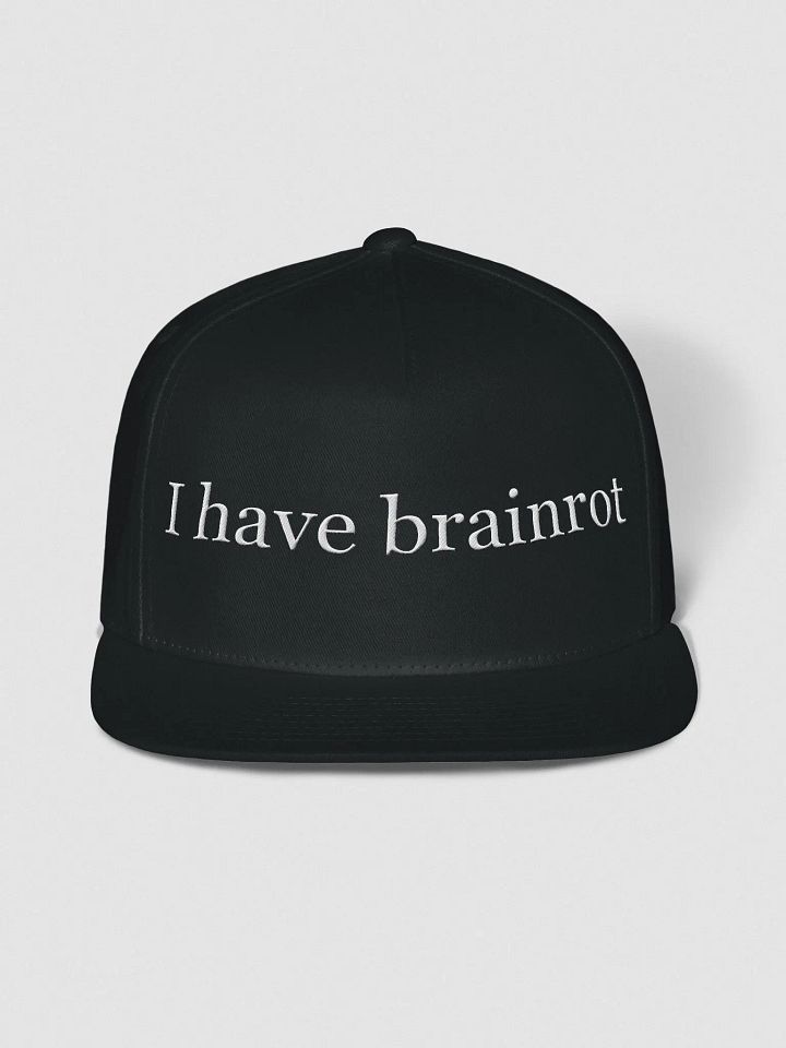 Brainrot Cat Cap product image (1)