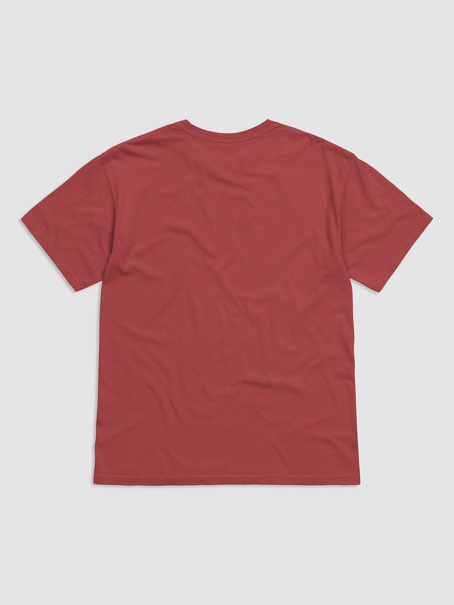 It's Not Just a Phase- Trans T Shirt product image (5)