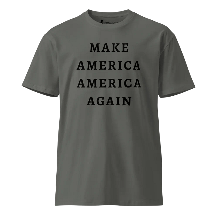 Make America America Again - Black Text - Premium Unisex T-Shirt product image (1)