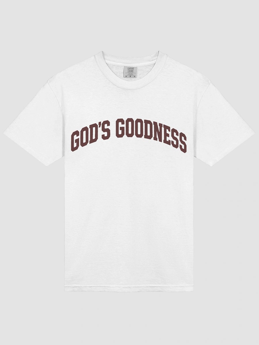 Covenant Classic GOD’S GOODNESS Garment-Dyed Heavyweight T-Shirt | Vintage Christian Faith Tee product image (3)
