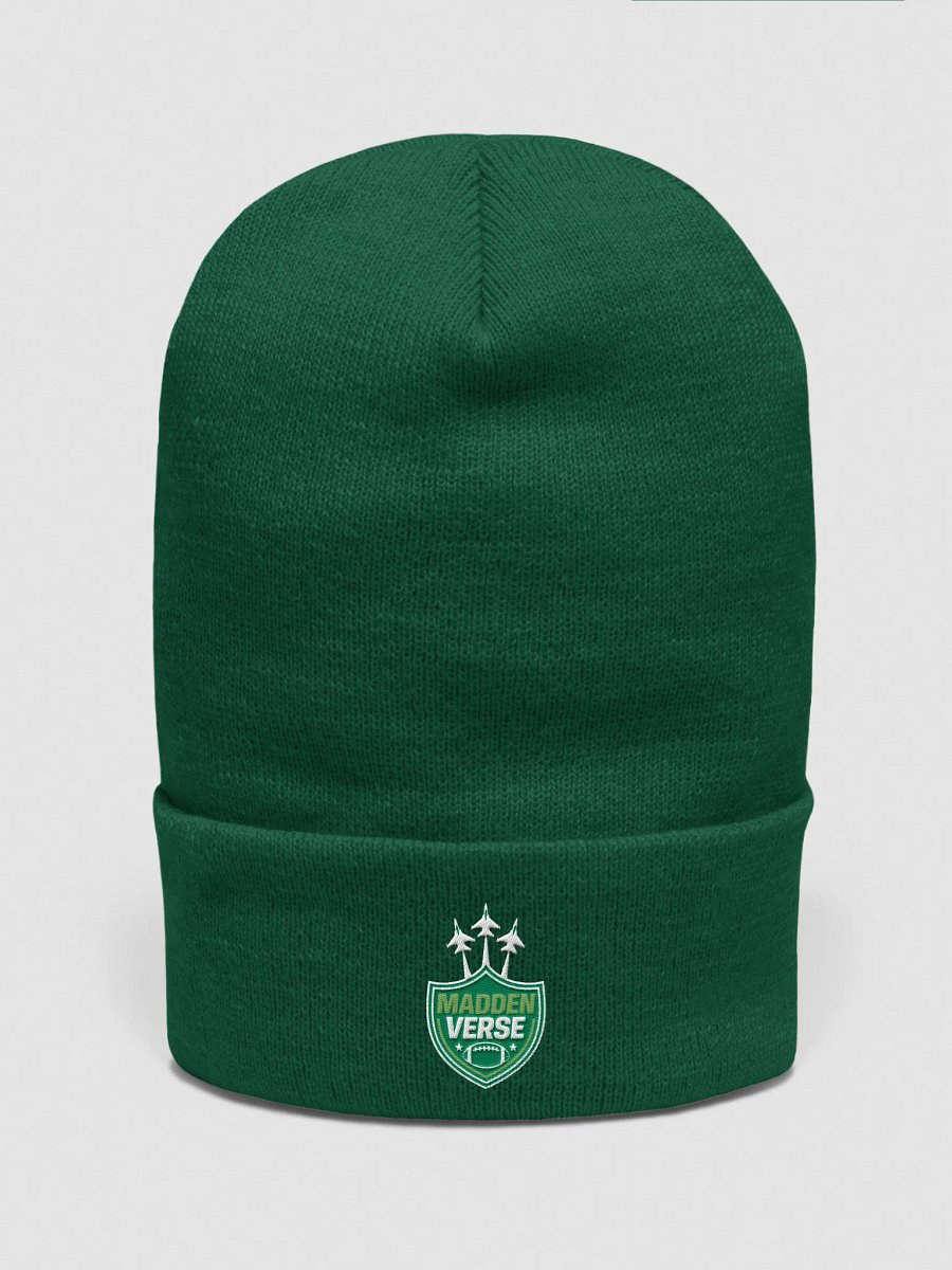 TAKE FLIGHT MADDEN VERSE HAT product image (1)