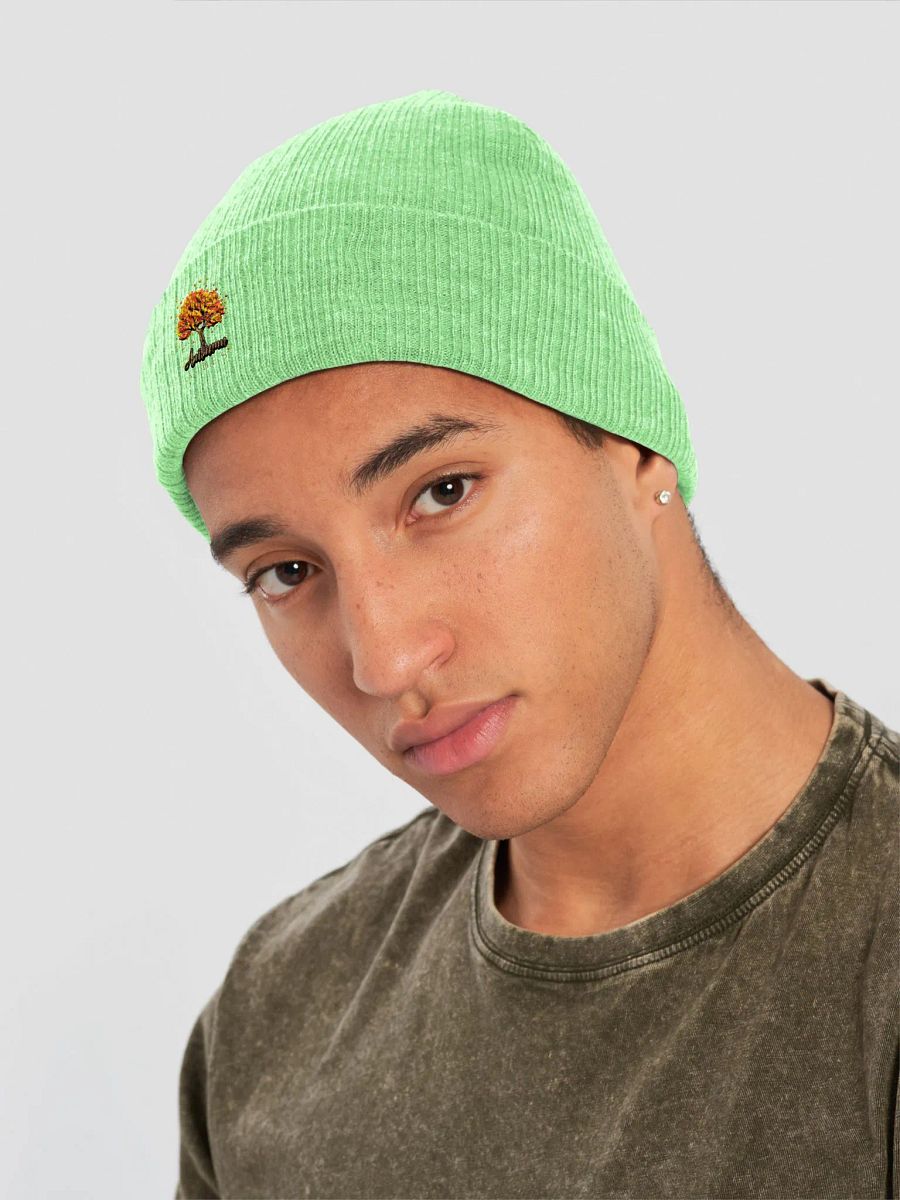 Autumn Vibes | Beanie product image (20)