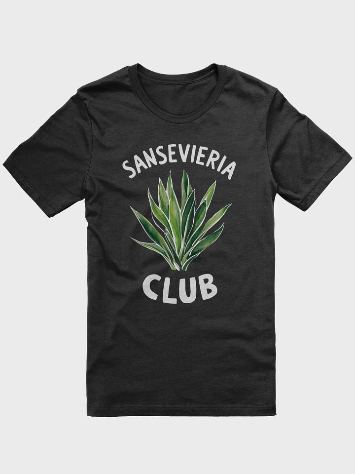 Sansevieria Club product image (3)