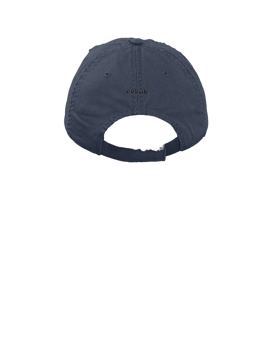 Distressed Cobby Dad Cap product image (16)