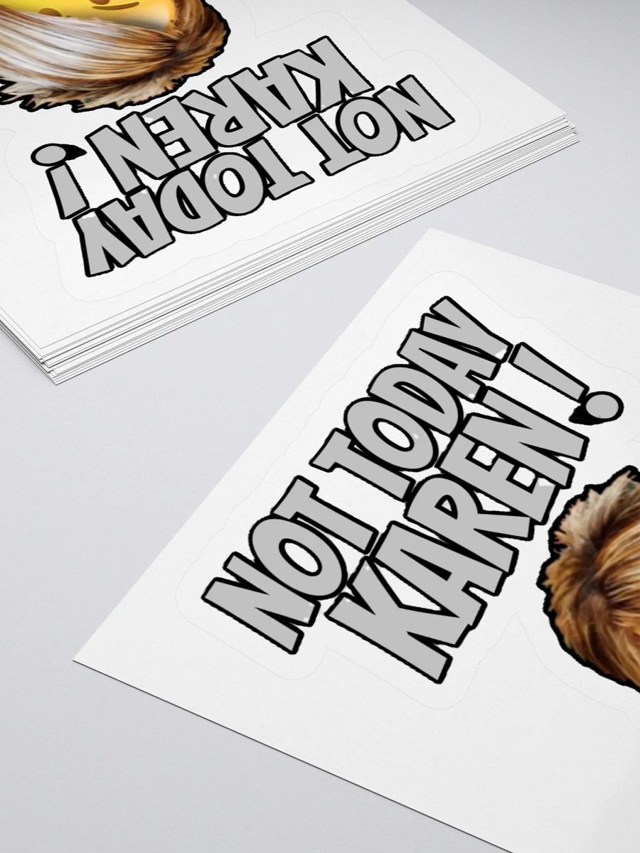 NOT TODAY KAREN! product image (11)