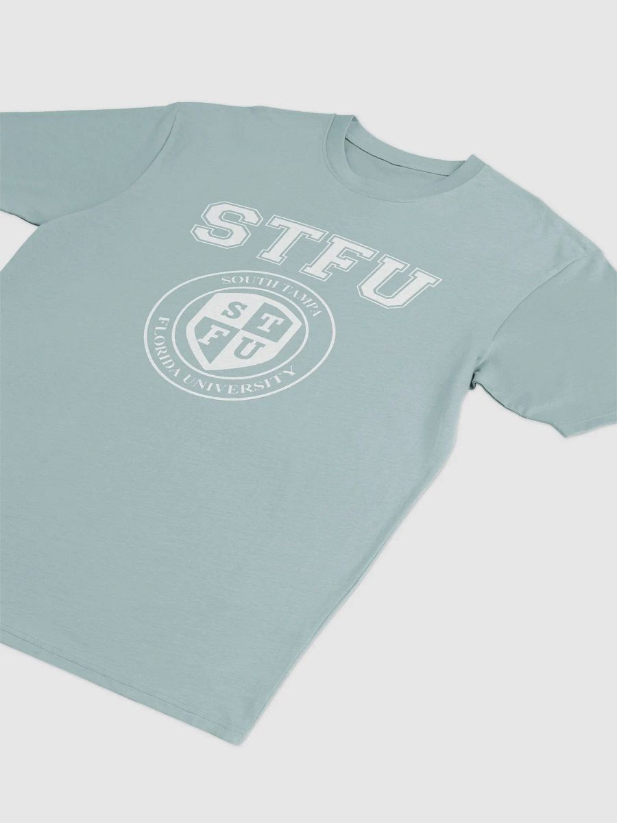 STFU Men's Premium Heavyweight Tee / Dark Colors product image (3)