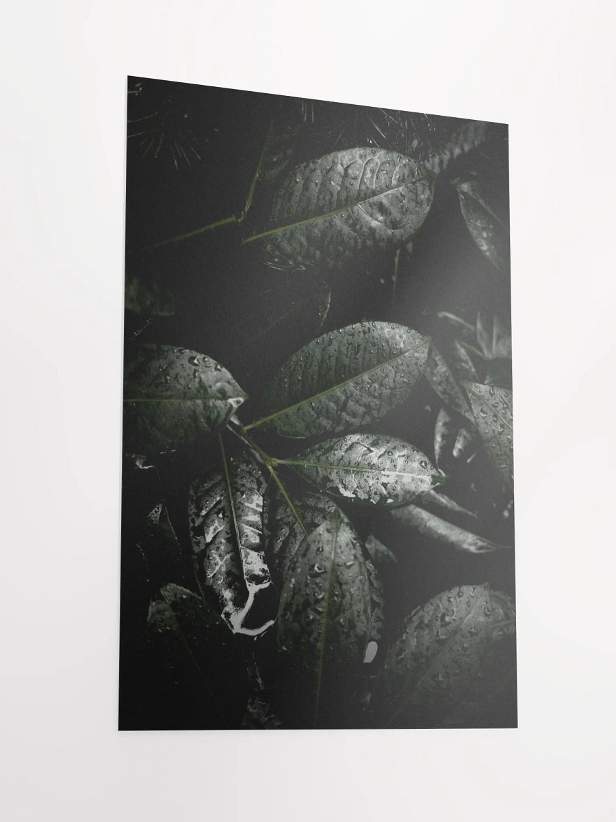 Winter Leaves - Matte Poster product image (4)