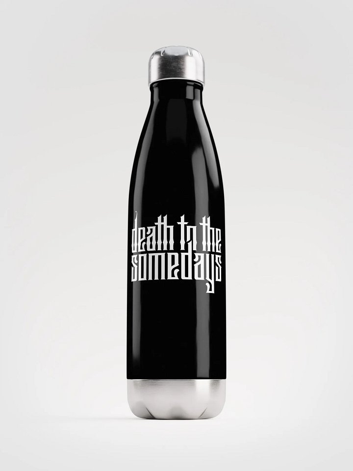 DTTS Stainless Steel Bottle product image (1)