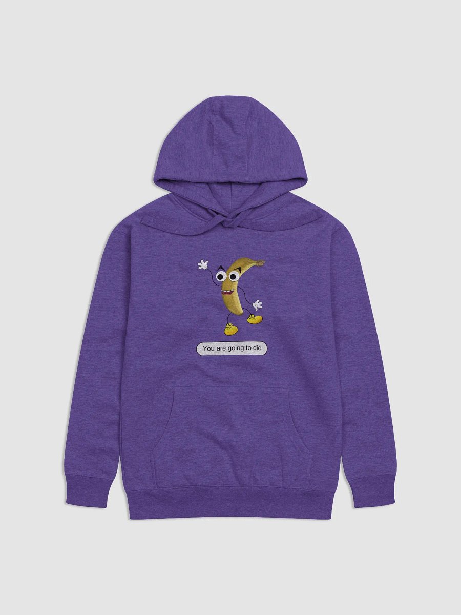 What I say to my characters | Cotton Heritage Unisex Premium Hoodie product image (1)