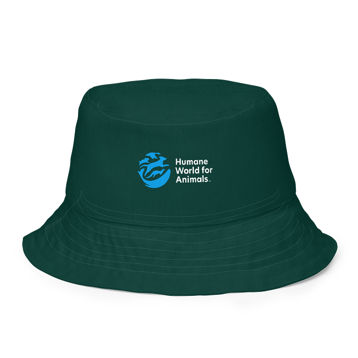 Reversible bucket hat with Animal Print product image (1)