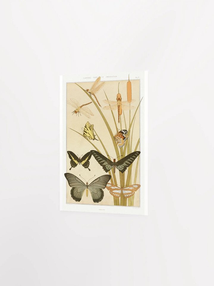 Butterflies - Papillons product image (6)