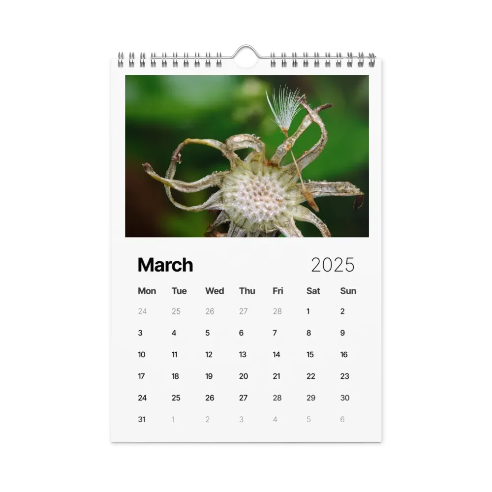 Ephemeral Dandelions 2025 Wall Calendar product image (4)