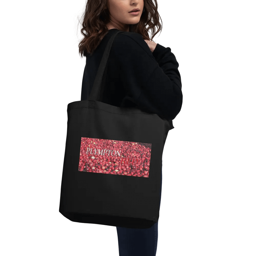 Plympton Red Tote Bag product image (9)