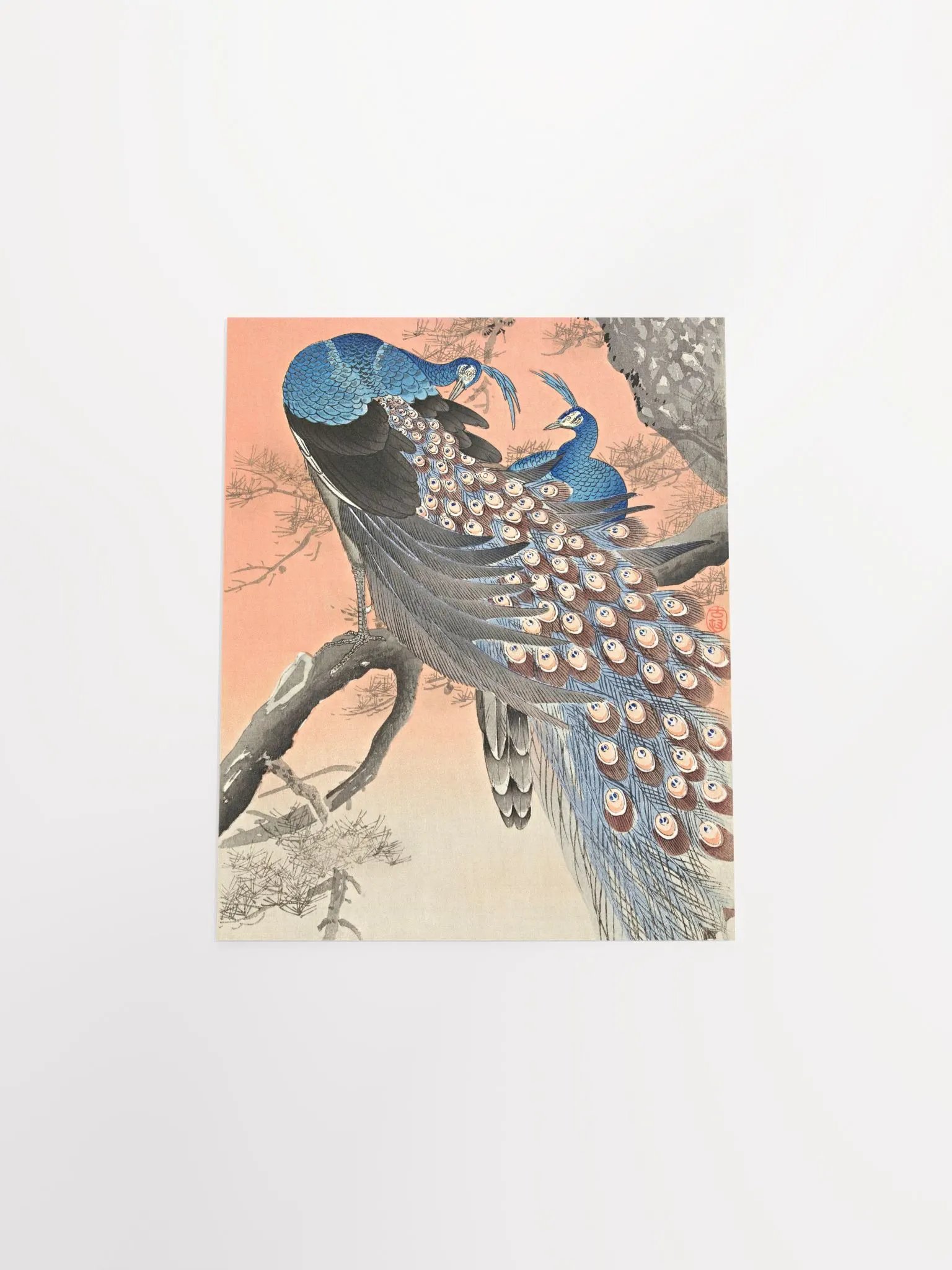 Two Peacocks on Tree Branch (1900 - 1930) by Ohara Koson product image (9)