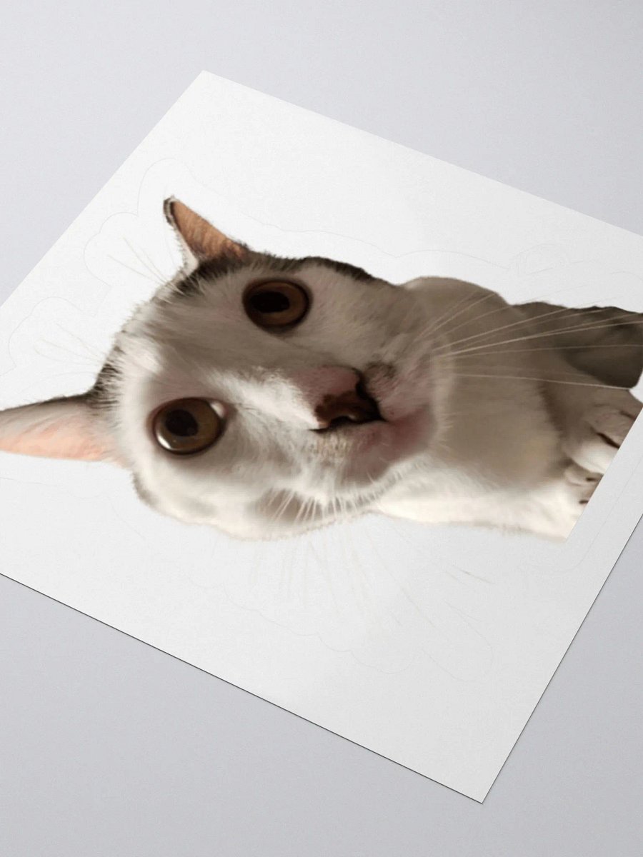 Mister Boy Sticker product image (3)
