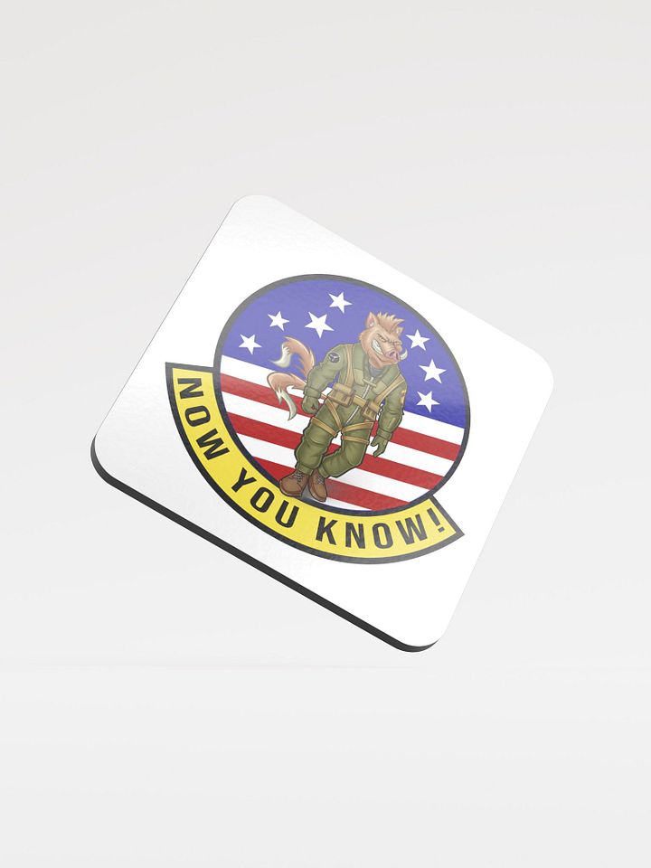 HogCat Coaster product image (1)