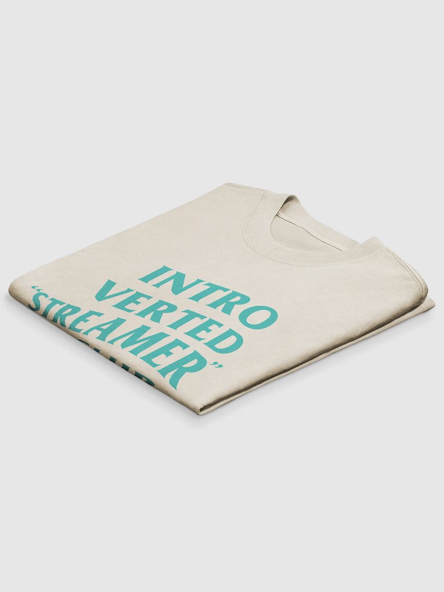 Introverted Streamer Club "Gunra Ed." Oversized Tee product image (24)