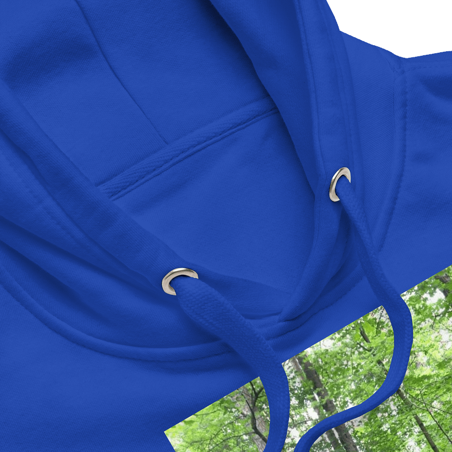 forest track hoodie product image (3)