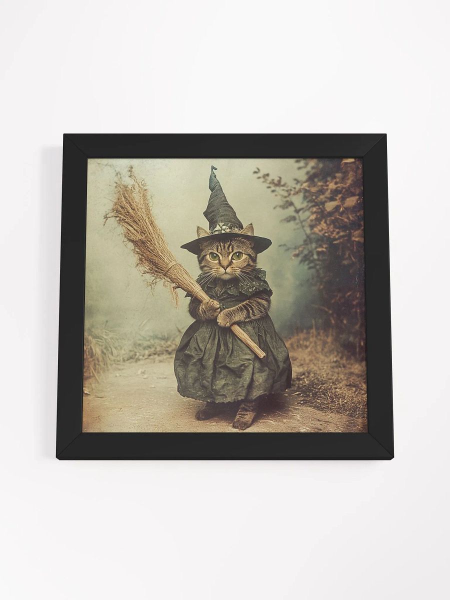 Grey Tabby Cat Witch Photography Wall Art product image (35)