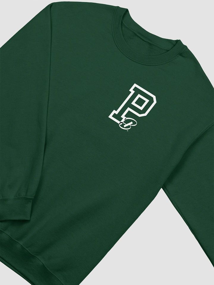 PB Letterman Sweatshirt product image (1)