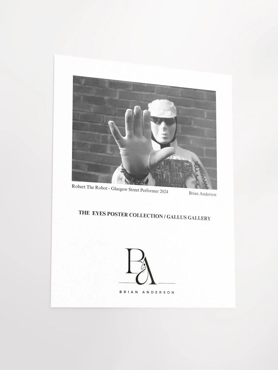Brian Anderson Collection Robert The Robot product image (3)