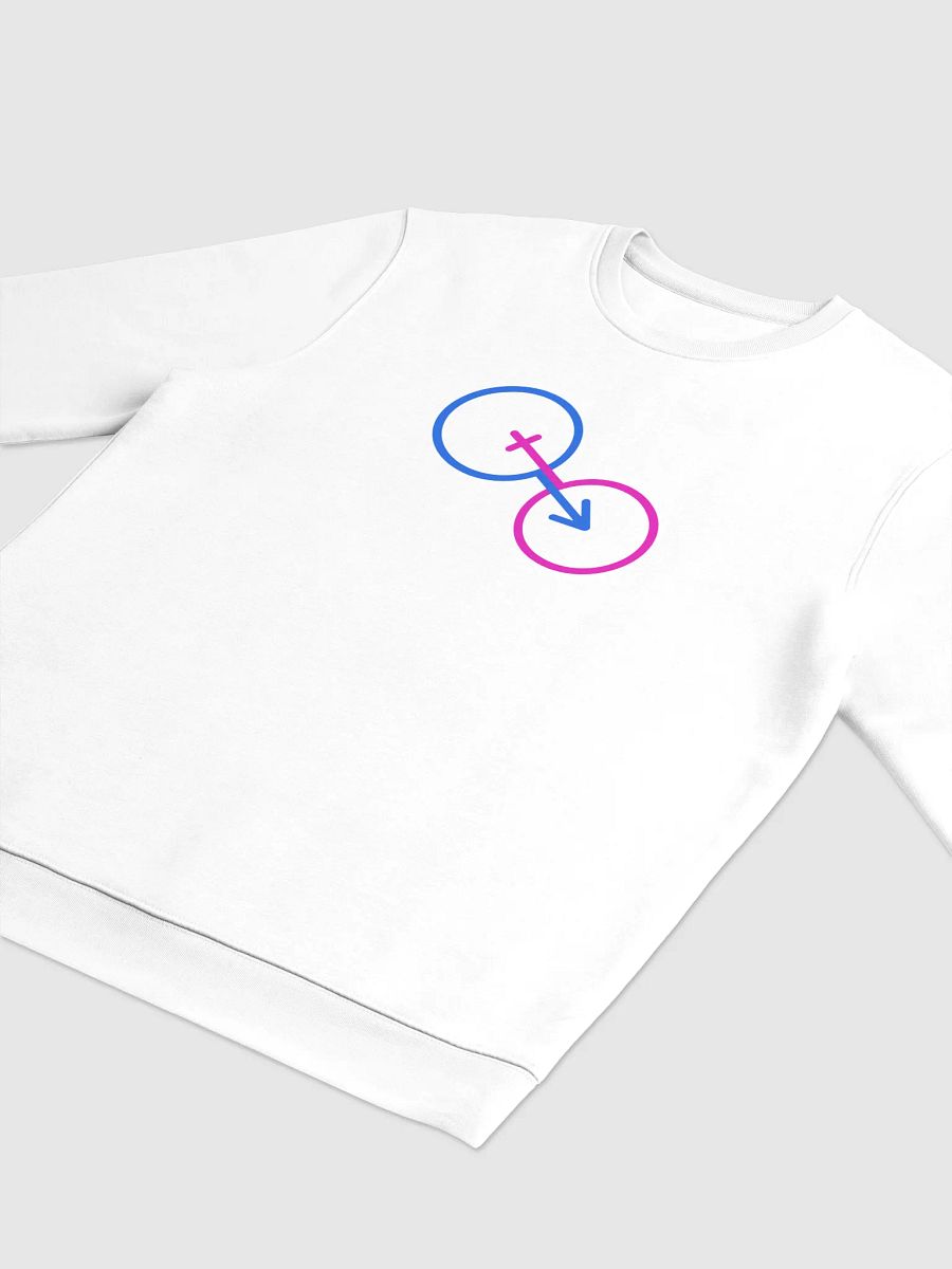 Gender Norm Connection Sweatshirt product image (3)