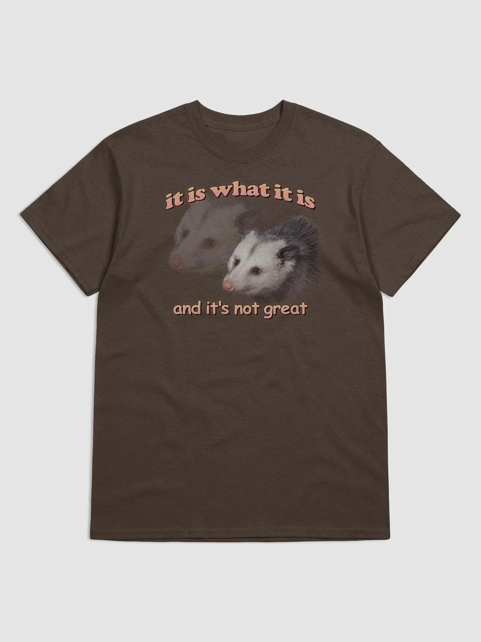 It is what it is (and it's not great) possum T-shirt product image (25)