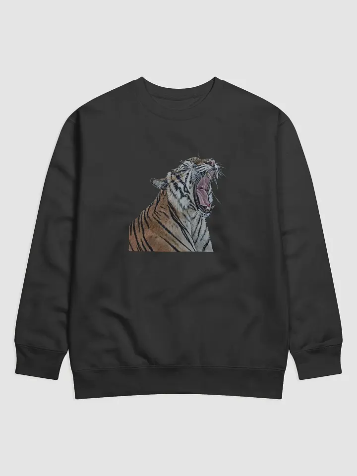 Sleepy Kitty Sweatshirt product image (1)