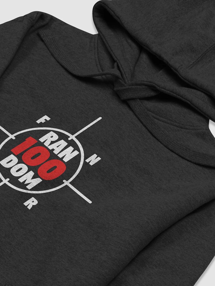 R100 Hoodie product image (3)