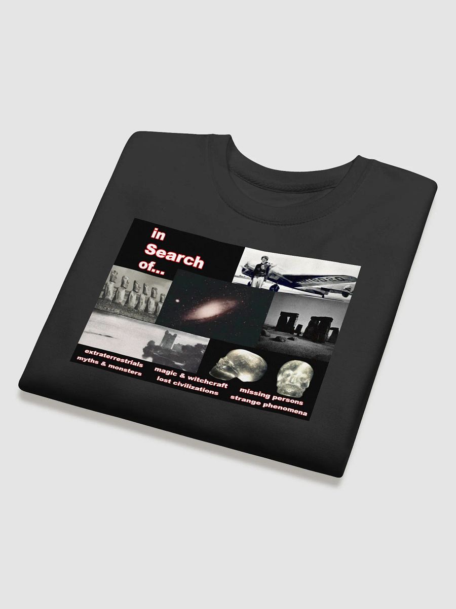 In Search Of... Sweatshirt product image (4)