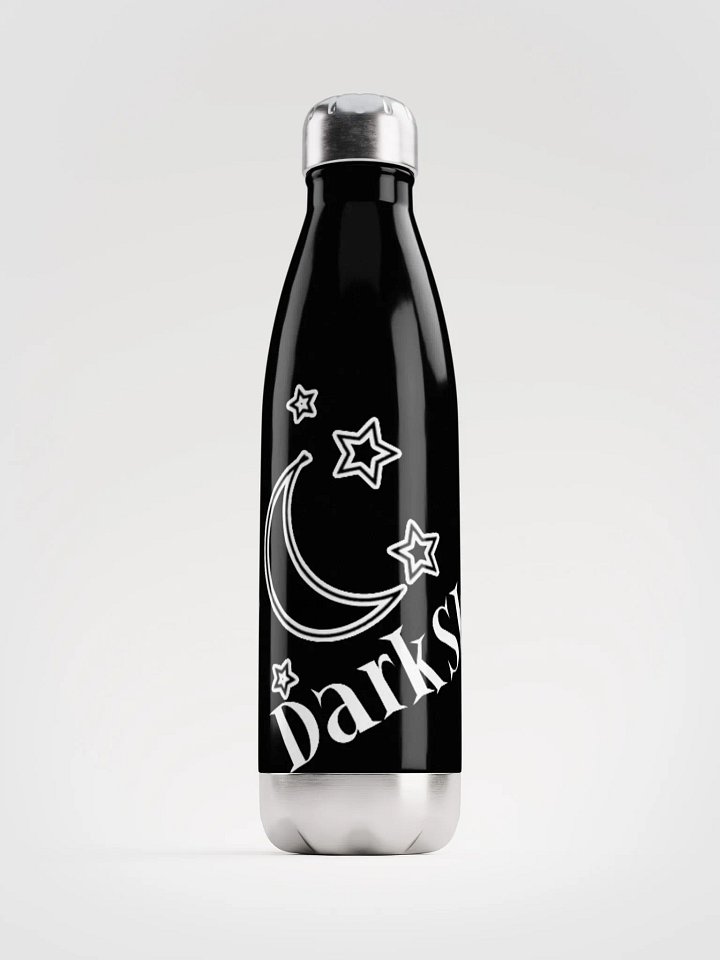 DarkSky Logo Stainless Water Bottle product image (1)