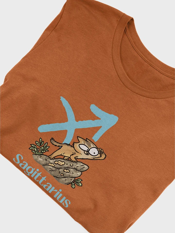 Sagittarius T-Shirt product image (51)
