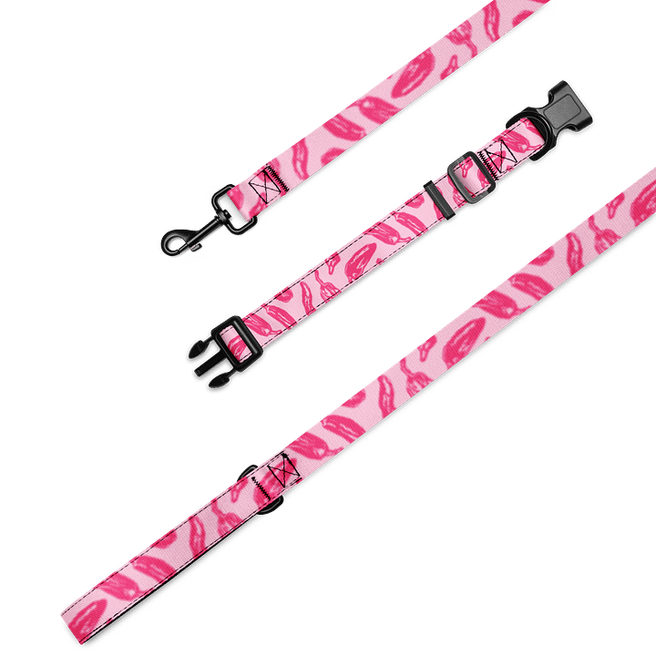 Pupper Pep Collar and Lead product image (1)