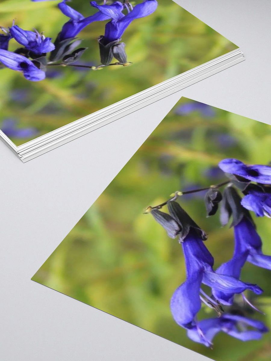A Study in Flowers 3 - sticker version product image (12)