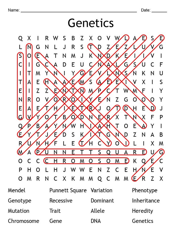 Printable Genetics Word Search – 16 Key Vocabulary Puzzle Activities! product image (2)