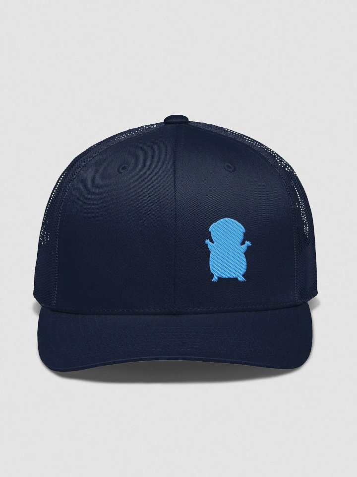 FIRESNOUT NAVY AND TEAL HAT product image (1)