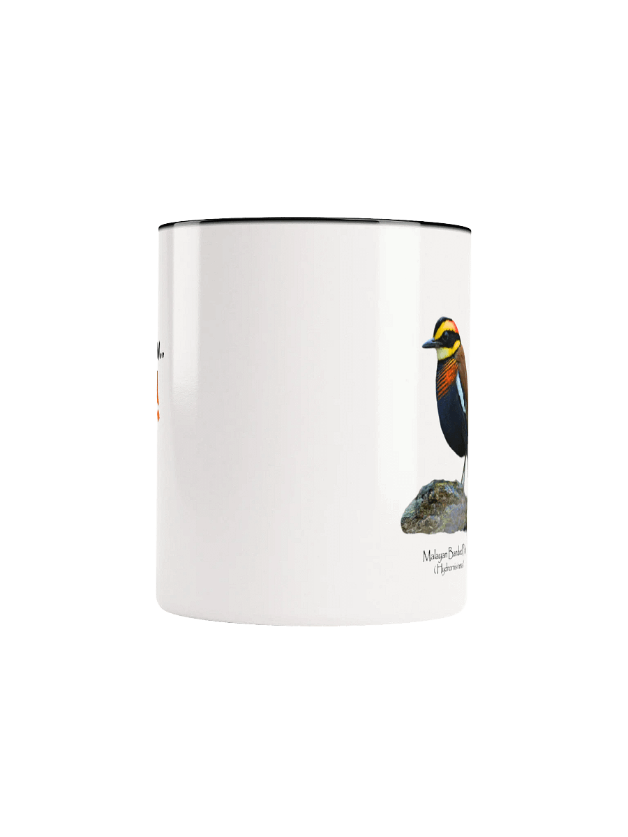 Malayan Banded Pitta mug product image (48)