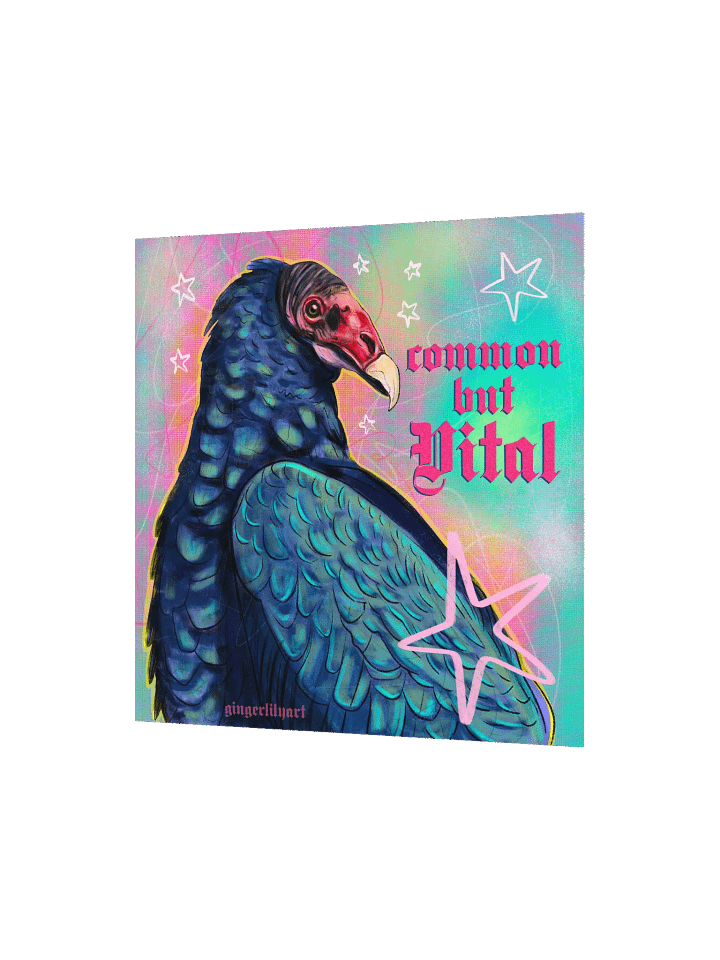 turkey vulture print product image (3)