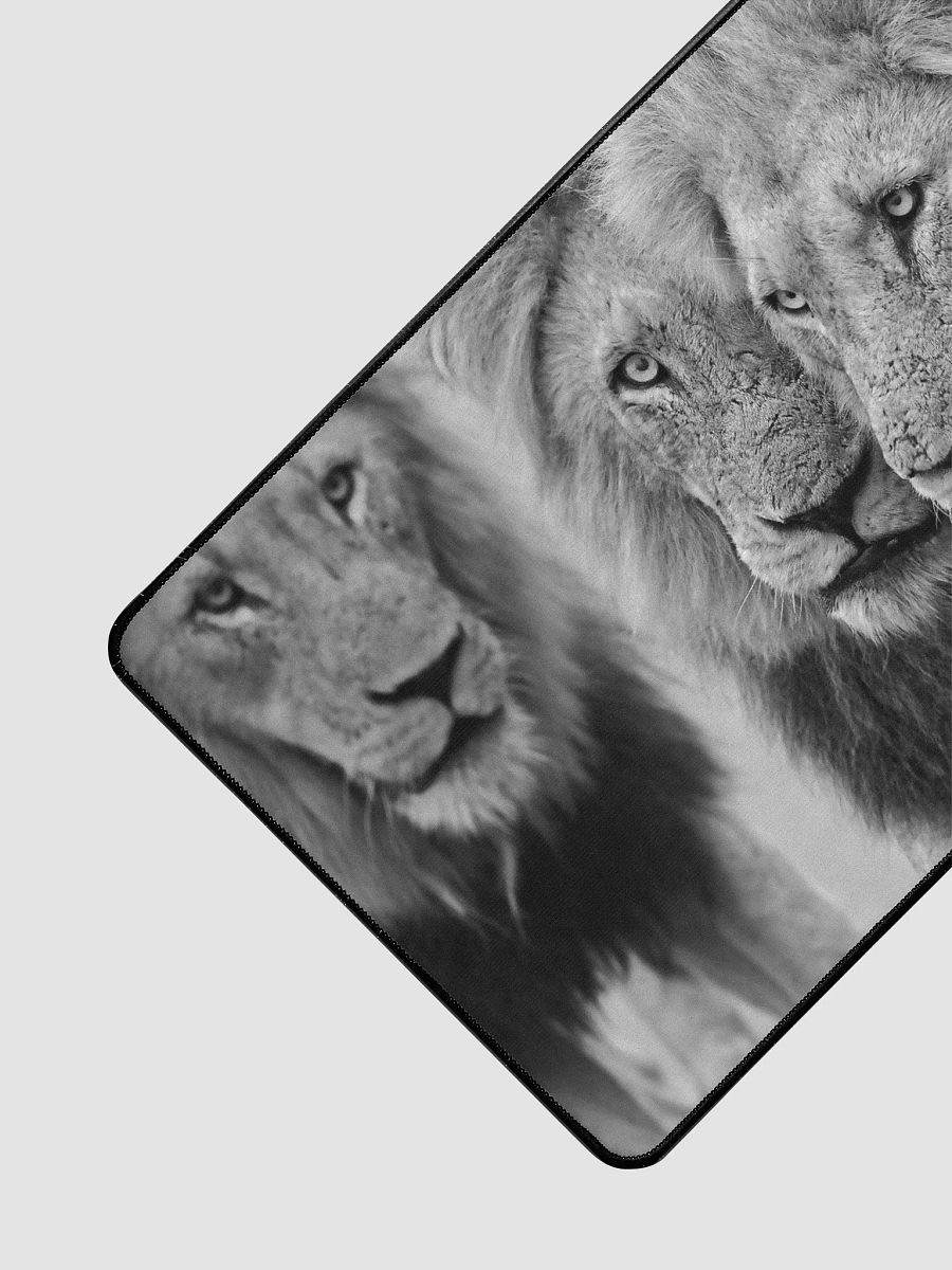 MANTIMAHLE Male Lions 2019 Skukuza product image (3)