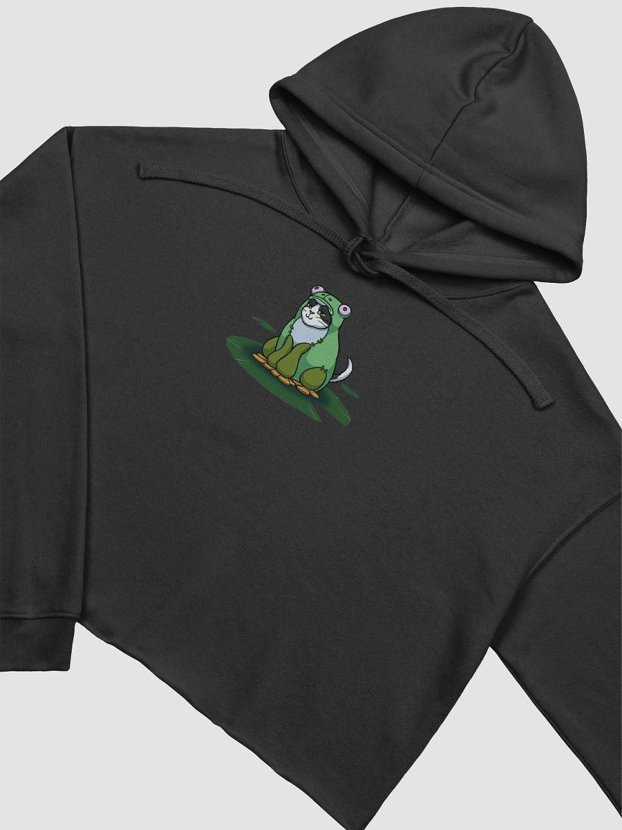 Beeg Frog Crop Top Hoodie product image (11)
