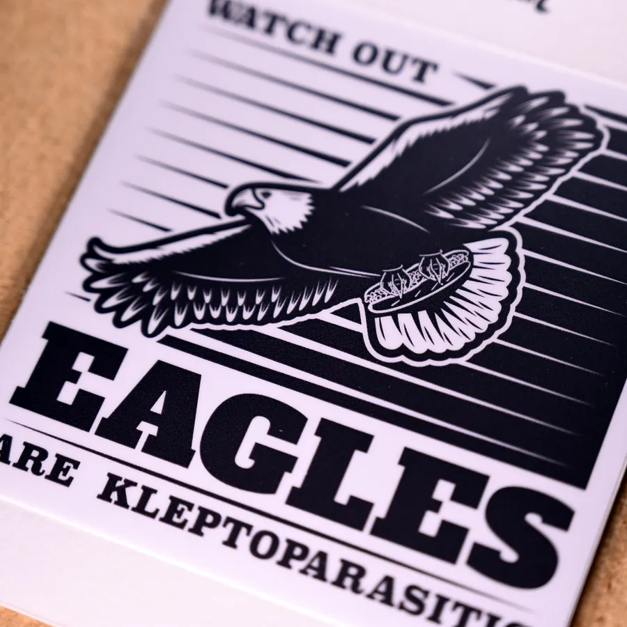 Bird Facts w/wiz product image (2)