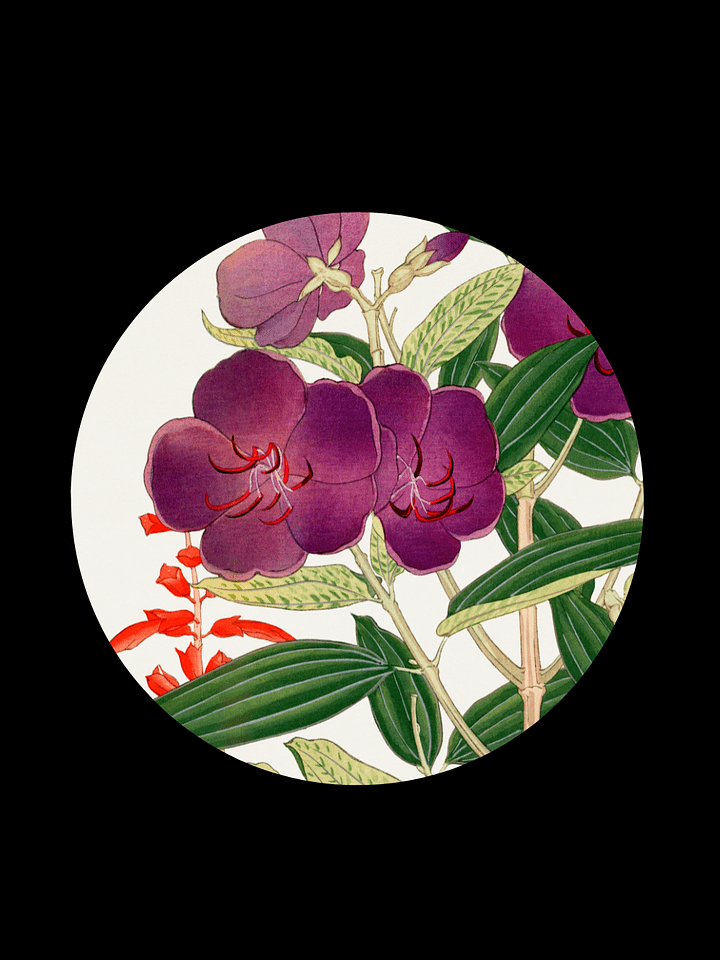 Vintage salvia. Hardcover JournalBook® product image (1)