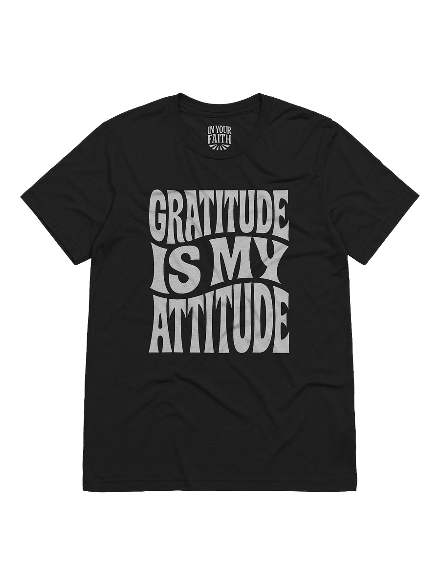 Gratitude Is My Attitude T-Shirt product image (1)