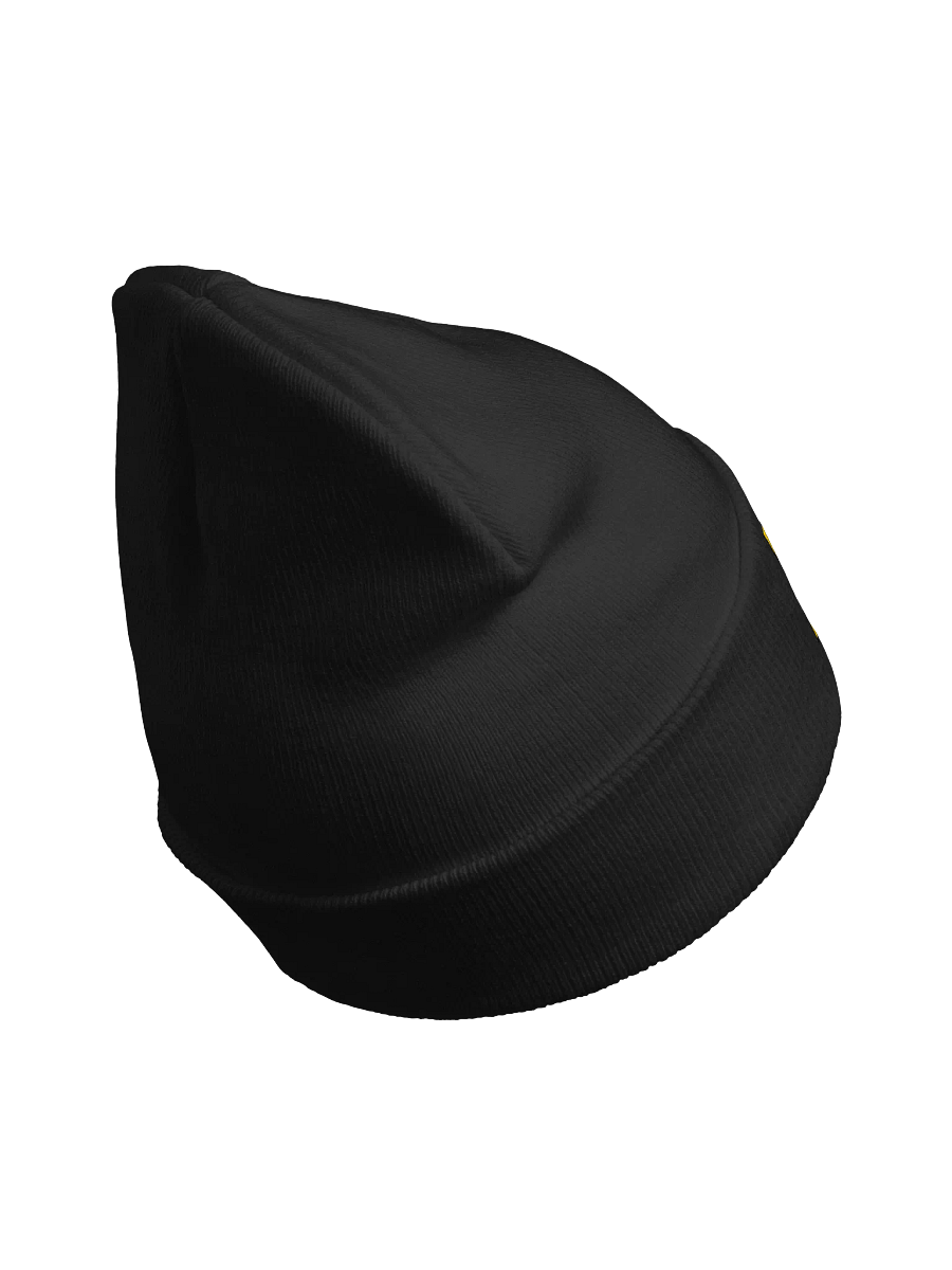 BRUG Beanie - Black product image (3)