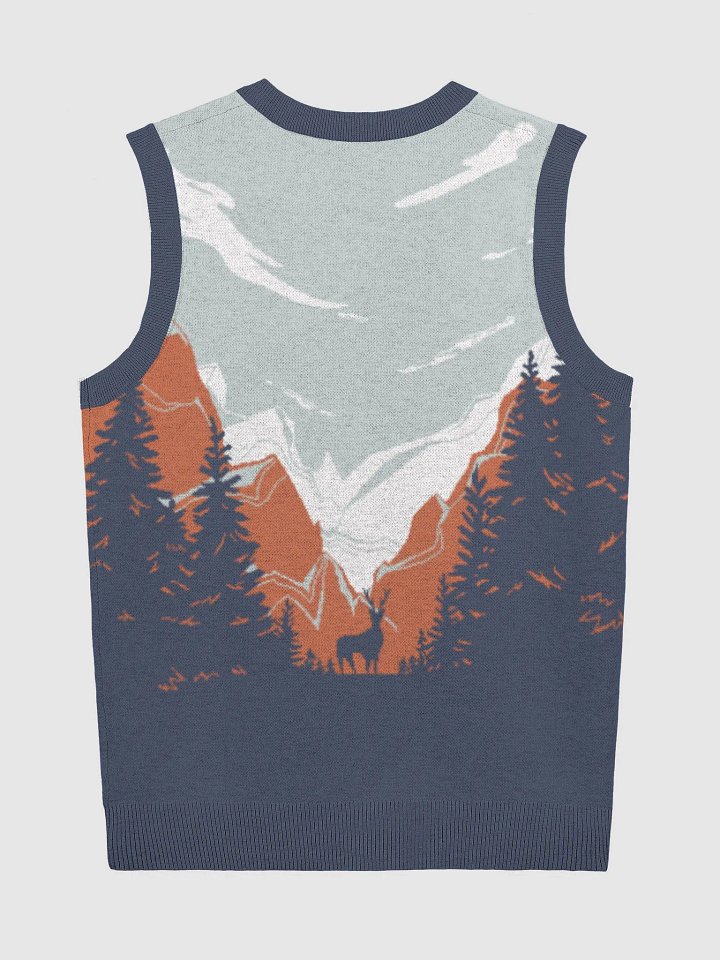 Sweater Vest! product image (2)