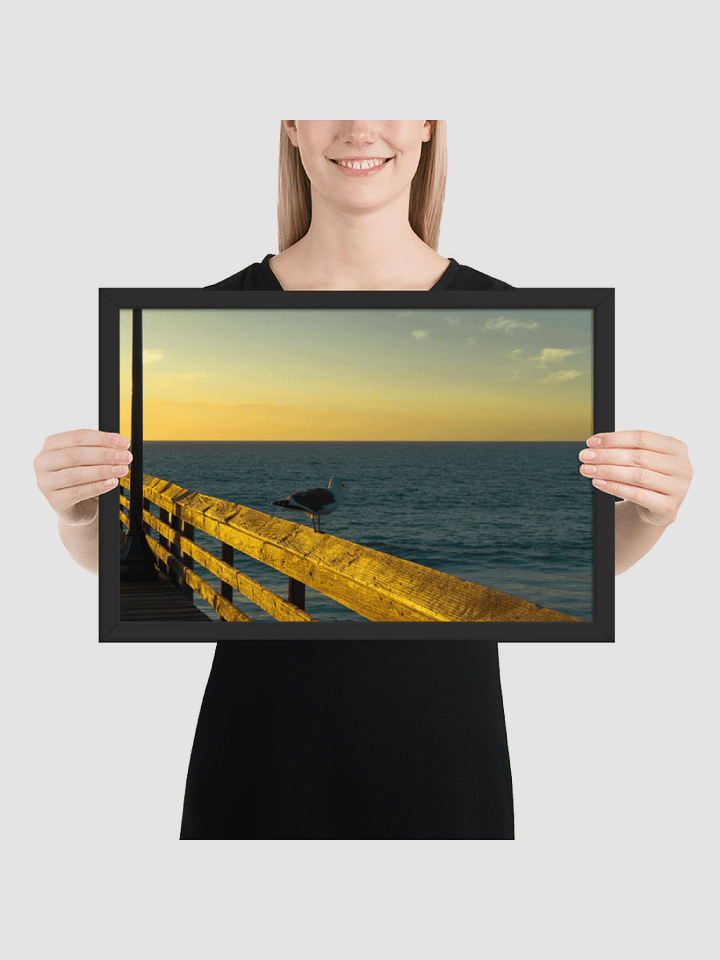 Pondering seagull Framed photography Poster product image (2)