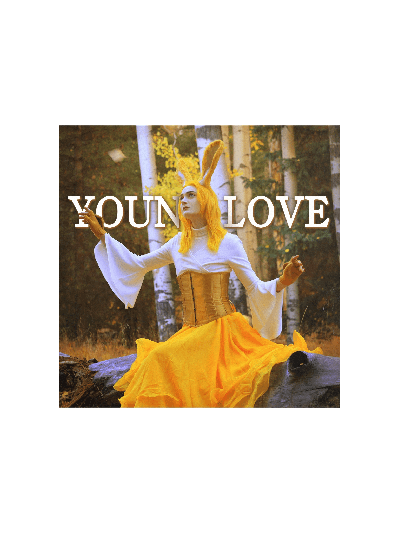 Young Love Poster [3 of 4] product image (1)