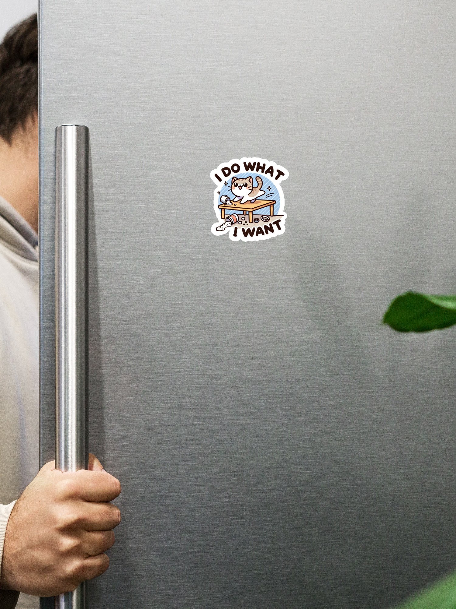 I do what I want magnet product image (2)
