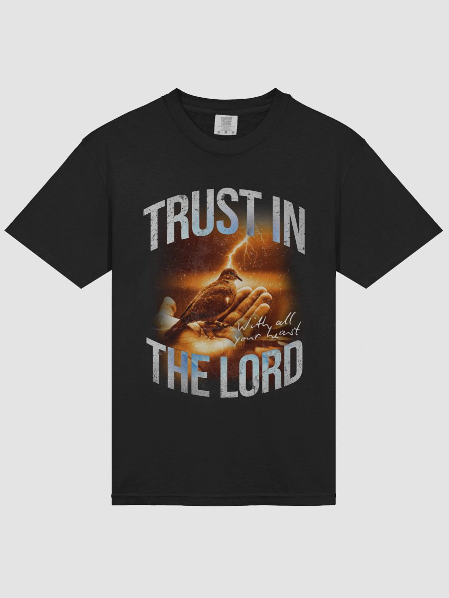 Trust In God With All Your Heart Heavyweight Tee product image (3)