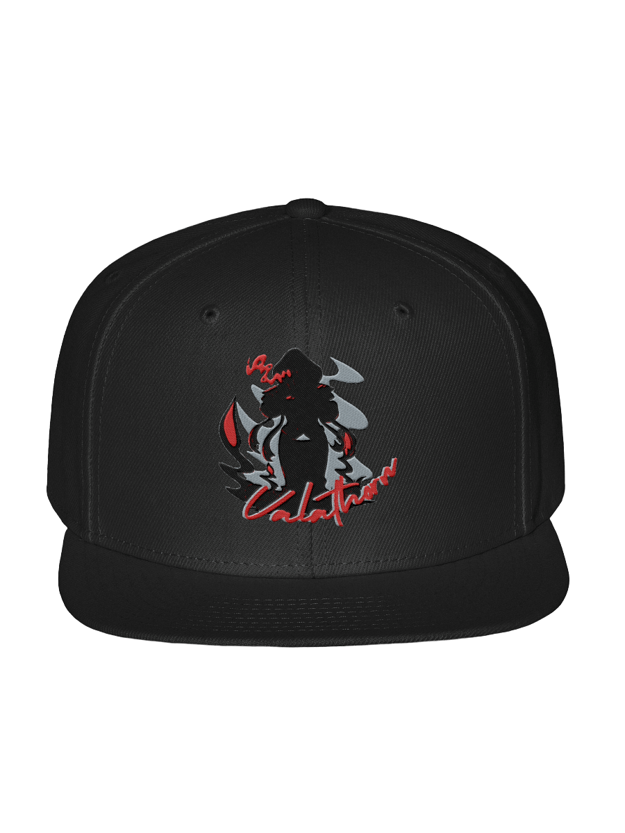 Ven Snapback product image (3)